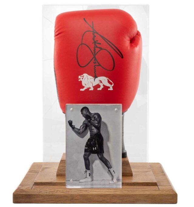 Anthony Joshua boxing glove