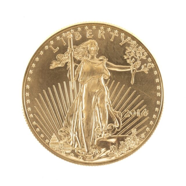 USA 50 Gold Eagle Coin