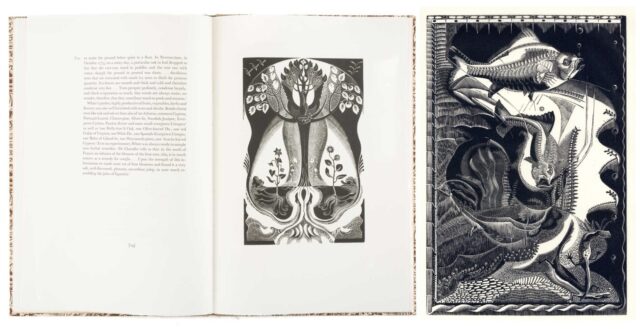 Selborne Collage