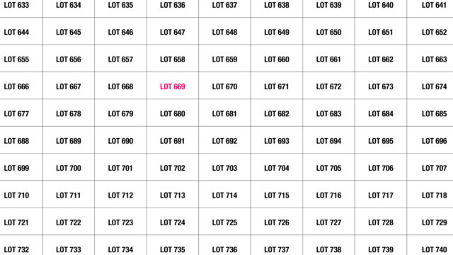 LOT 669
