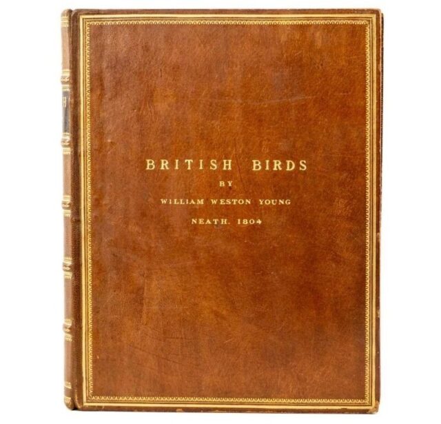 William Weston Young British Birds Watercolours SOLD 20000