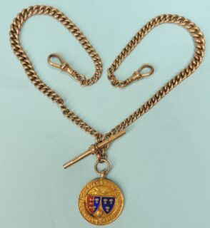 9CT Gold Curb Link Watch Albert