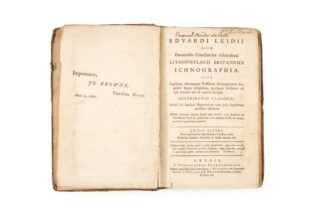 Antiquarian Palaeontology Book