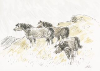 Sir Kyffin Williams RA Watercolour and Pencil