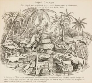 Henry De La Beche Lithograph