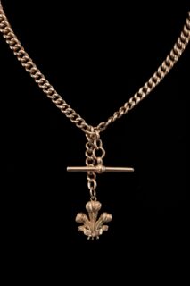 9CT Gold Curb Link Albert Chain