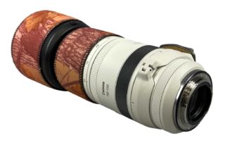 Canon Ultrasonic 100-500mm Zoom Lens