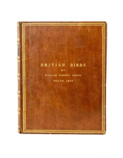 William Weston Young British Birds Album of Watercolours